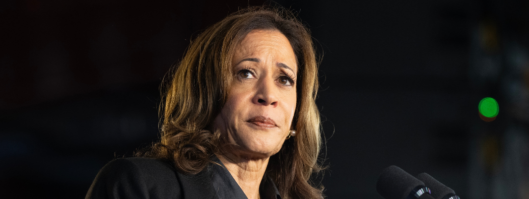 The “Harris Trade”: How Market Trends and Strategies Could Be Impacted If Harris Wins the US Presidency  